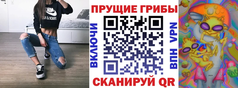 Псилоцибиновые грибы Cubensis  Купить где  Северобайкальск 