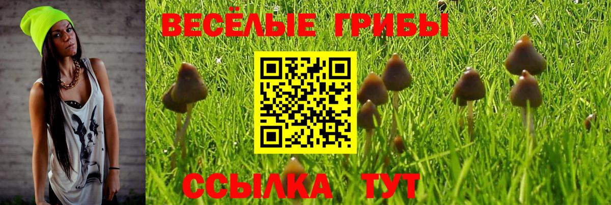 купить наркотики цена  Галлюциногенные грибы прущие грибы  Вход с VPN  Псилоцибиновые грибы мухоморы  Северобайкальск 