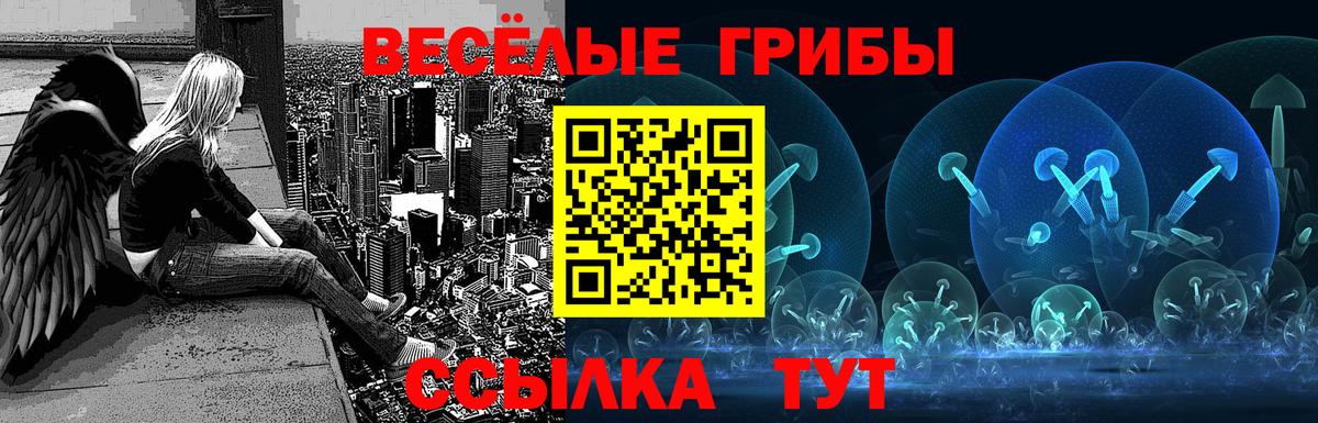 Псилоцибиновые грибы GOLDEN TEACHER Северобайкальск