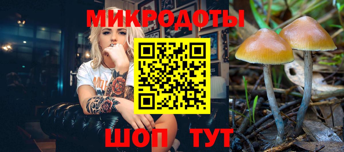 Галлюциногенные грибы GOLDEN TEACHER Северобайкальск