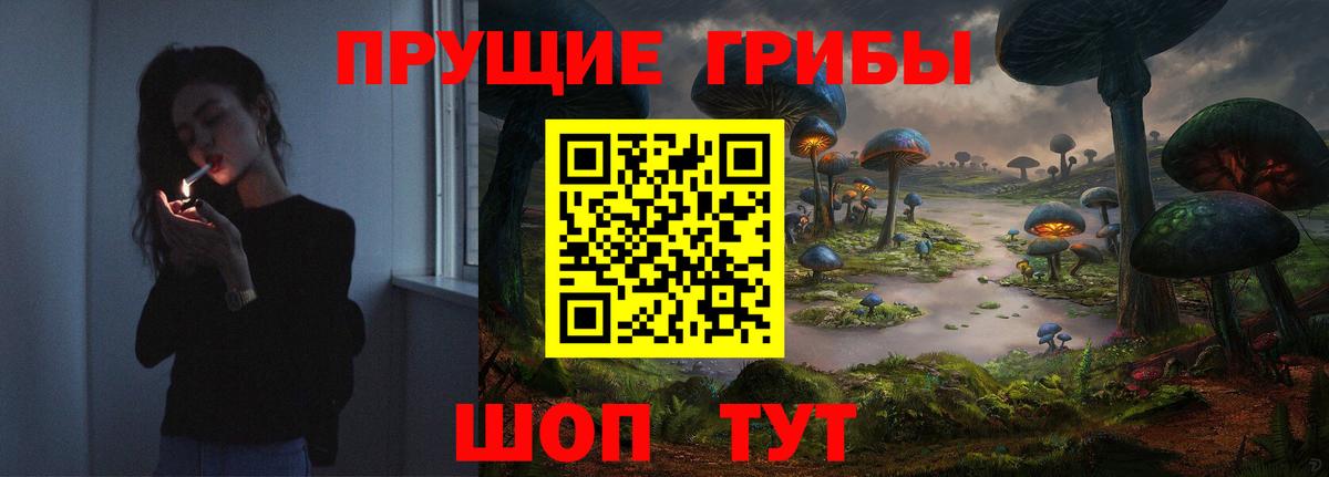 Галлюциногенные грибы мухоморы Северобайкальск