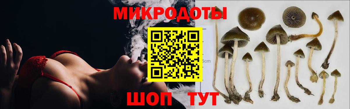 Псилоцибиновые грибы Cubensis  Вход с VPN  Северобайкальск 