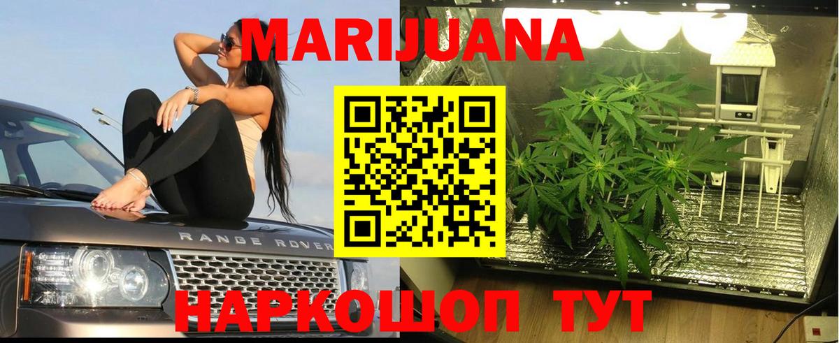 Марихуана планчик Северобайкальск